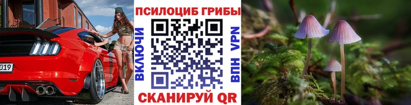 закладка  Томск  shop клад  Галлюциногенные грибы MAGIC MUSHROOMS 