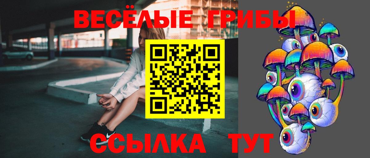 Галлюциногенные грибы Psilocybe Томск